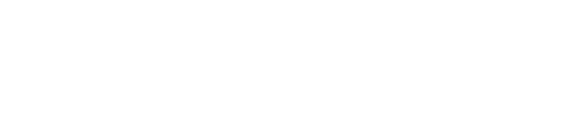flanax-logo